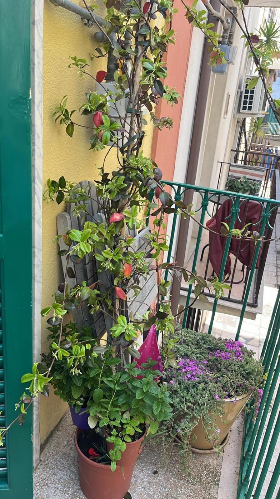 Вилла La Casa Di Nonna Sisina Мола-ди-Бари Экстерьер фото